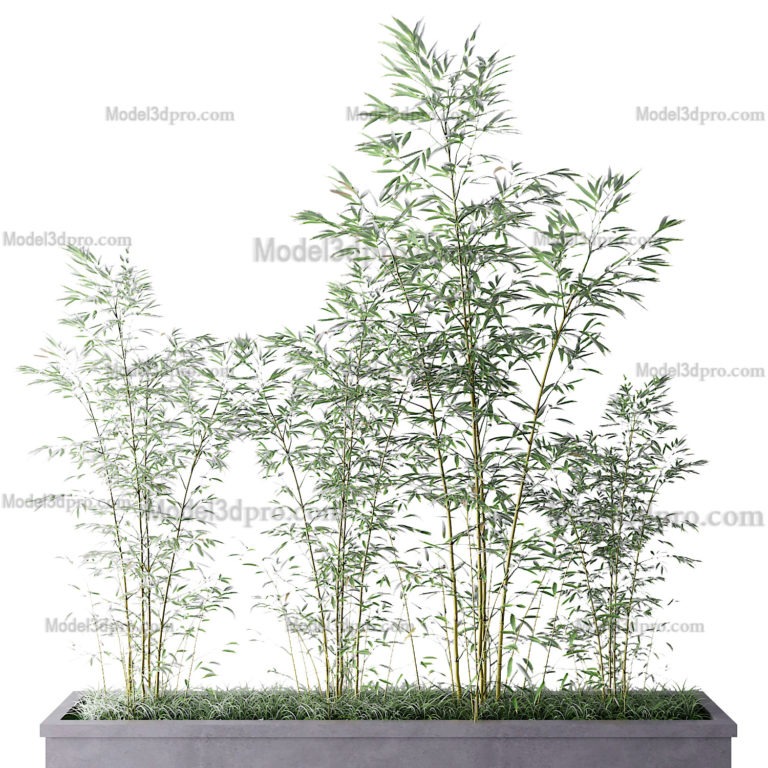 Free 3d models bamboo tree – Model3dpro.com