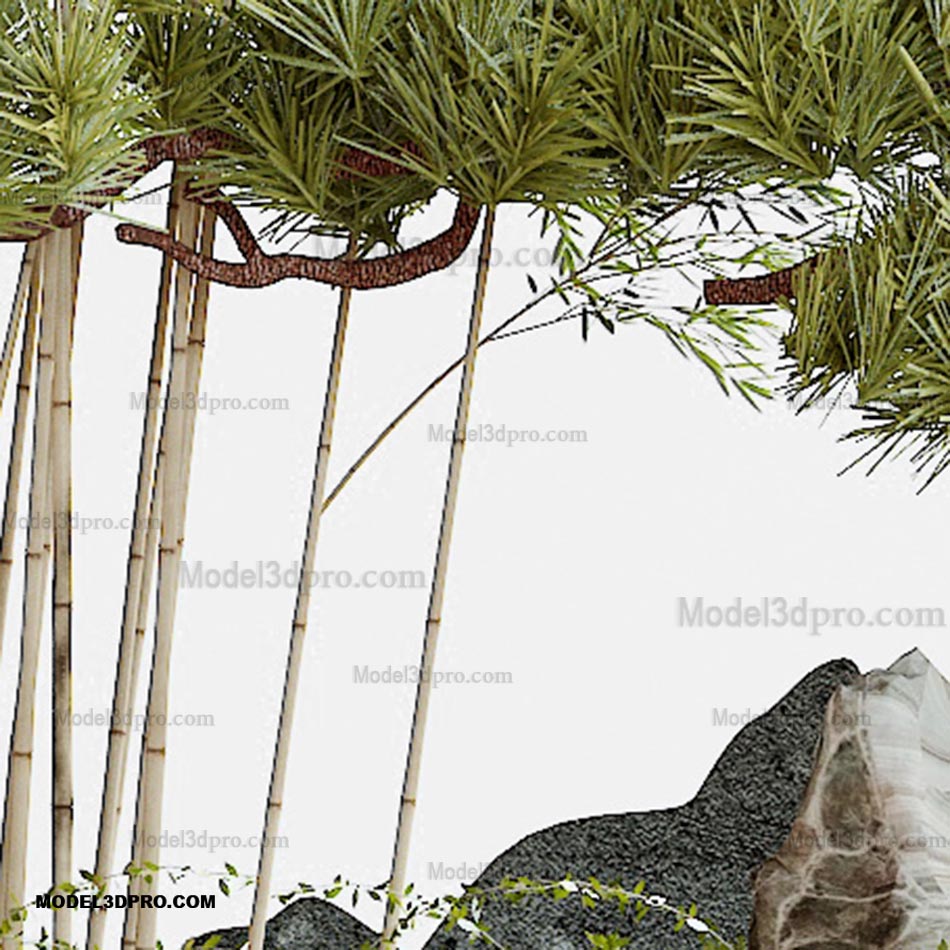 3D Plant Tree Japanese Models