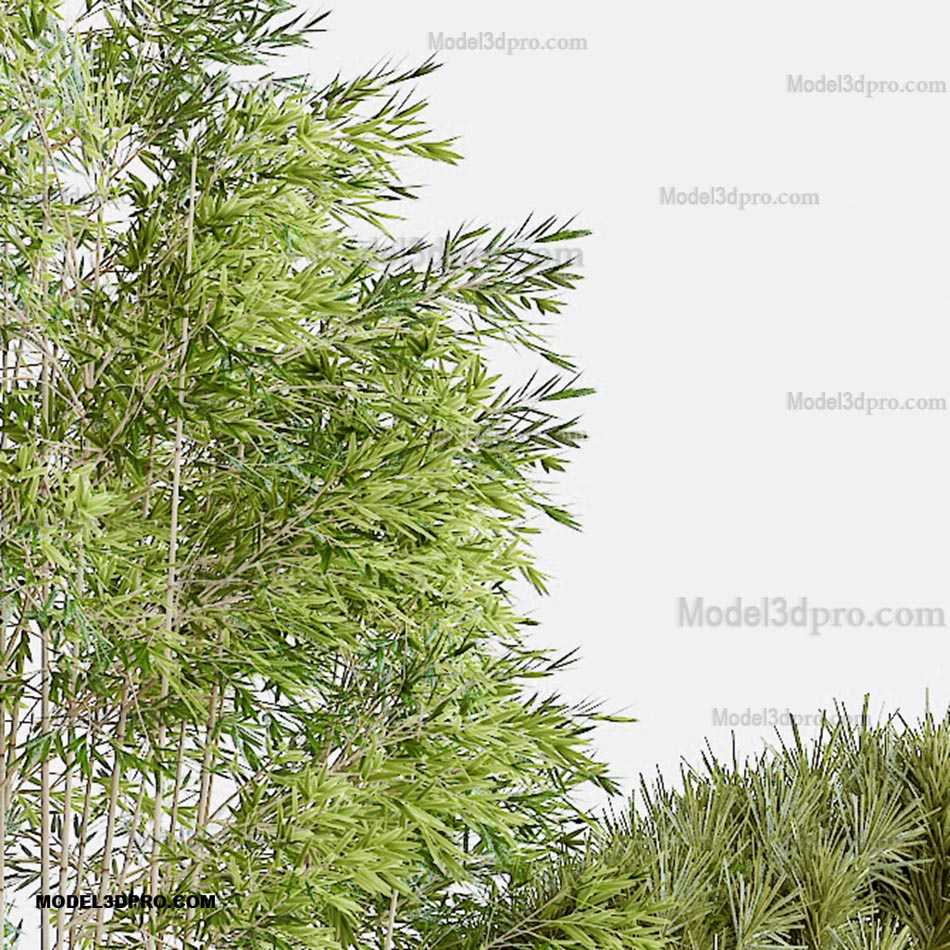 3D Plant Tree Japanese Models