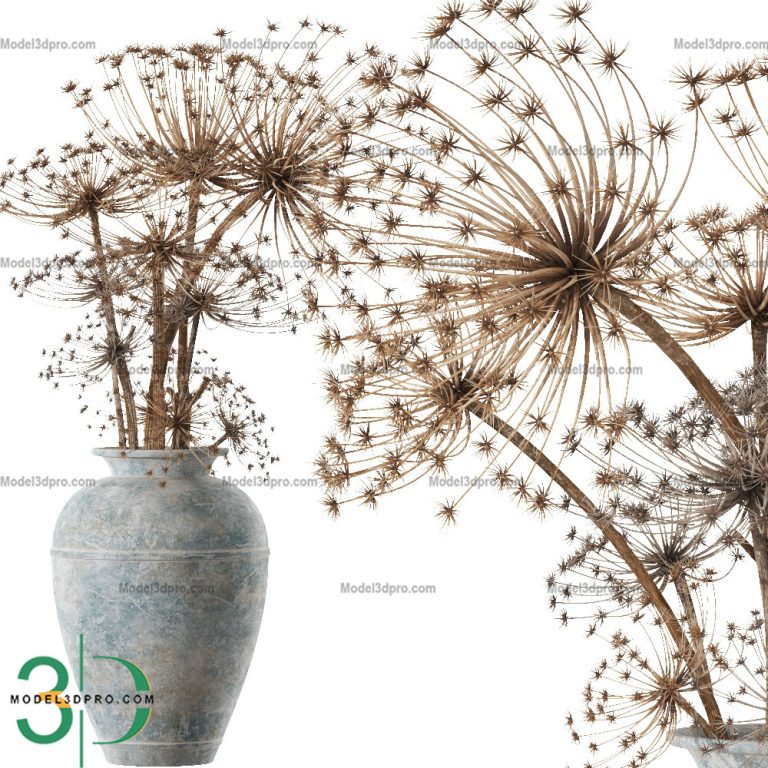 3D Dried-Flowers Models