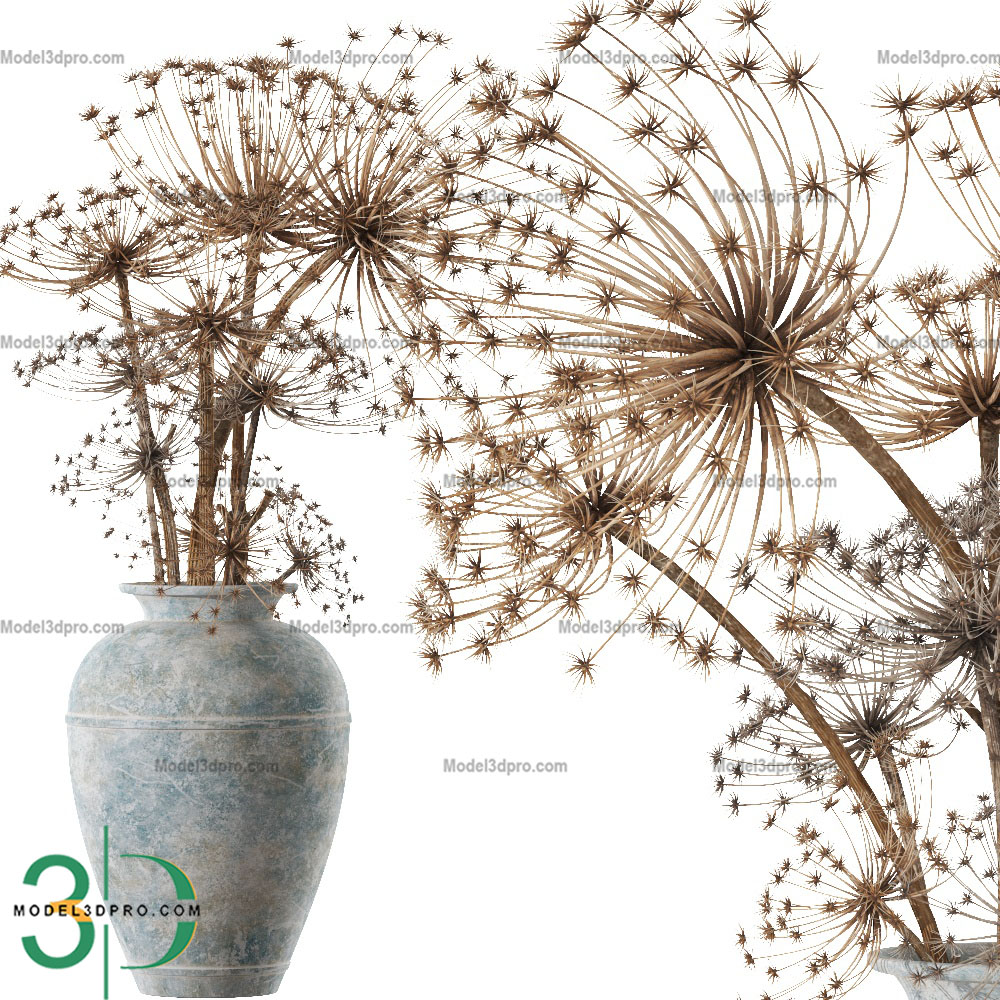 Decorative Dried Plants Vol 1 3D model