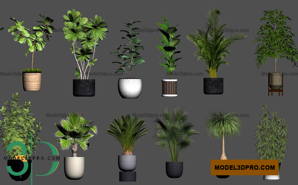 Tree 3d models