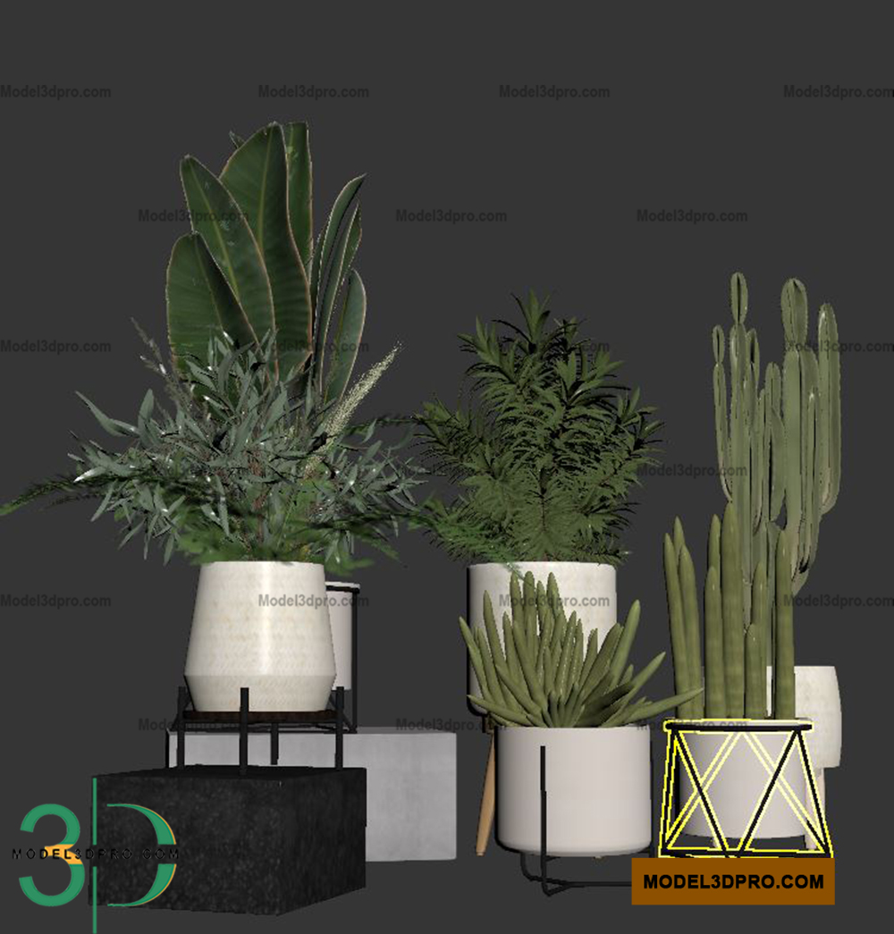Free Tree 3D Models for Download