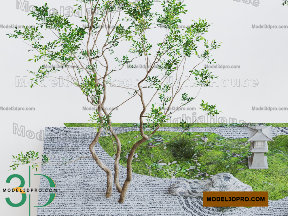 3D Trees Models Free Download