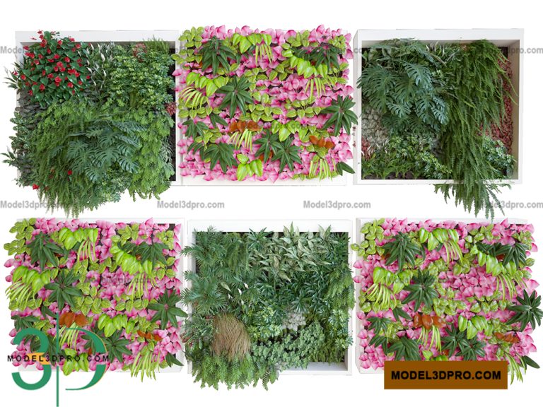 Plants Wall 3D Models for Download