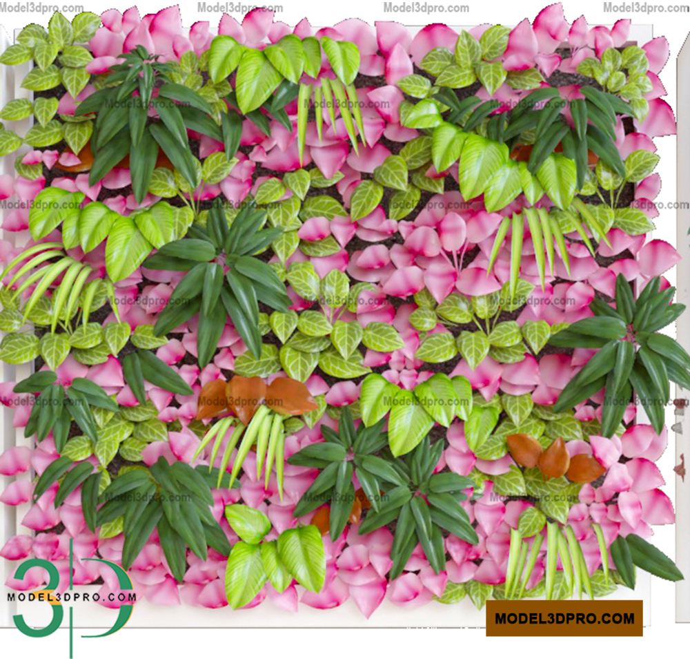 Plants Wall 3D Models for Download