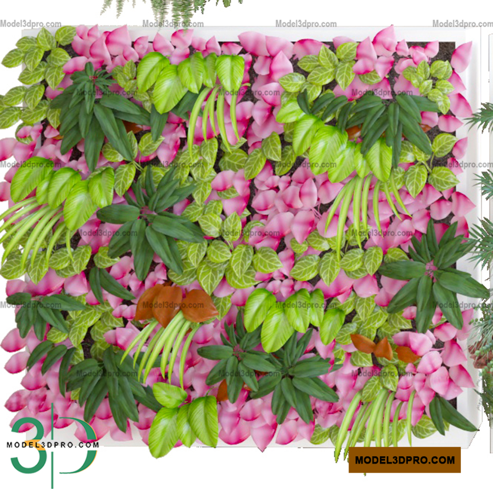 Plants Wall 3D Models for Download