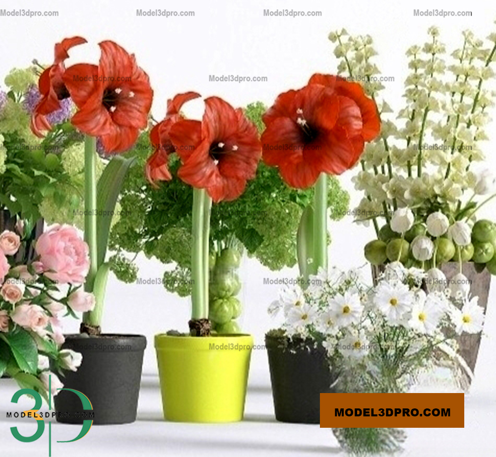 Flowers Free 3D Models download
