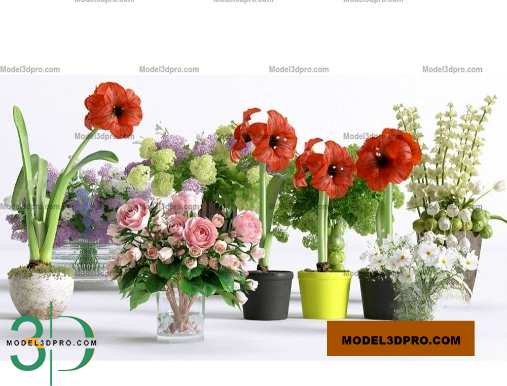 Free 3D Flower Models