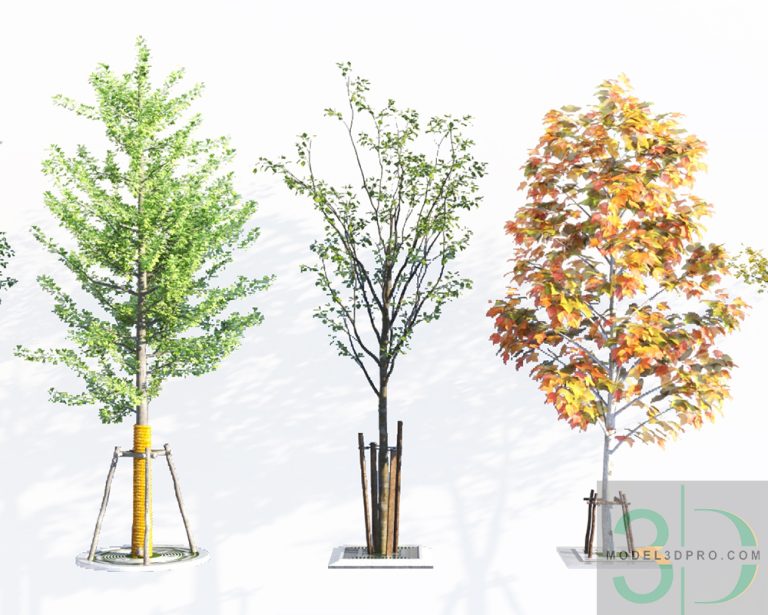 Free Tree 3D Models for Download 524