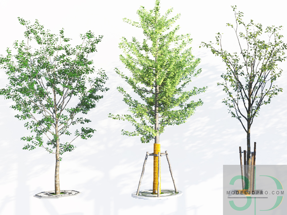 Free 3D Tree models available for download