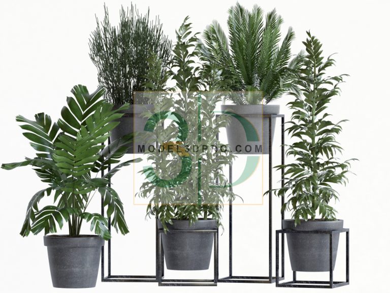 Free Tree 3D Models for Download 551