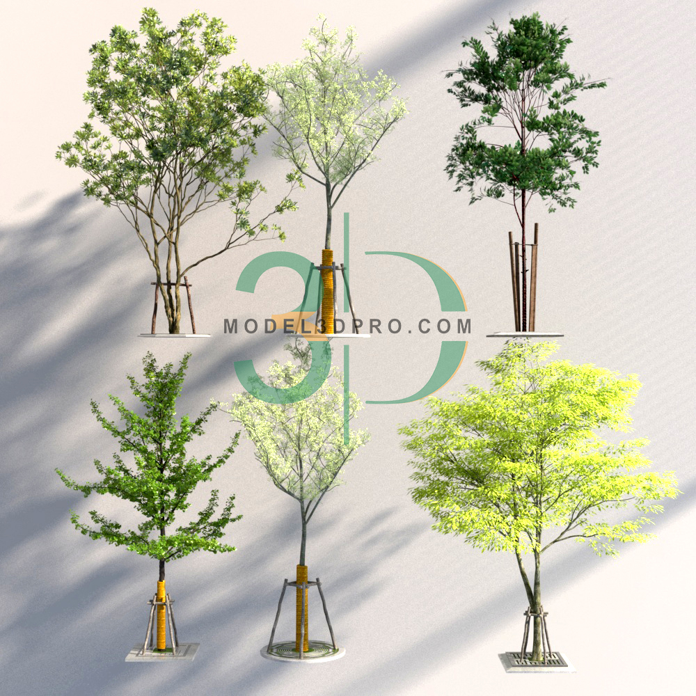 Tree City 3D Models for Download