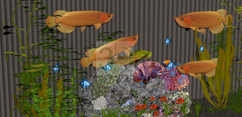 3D Aquarium Models