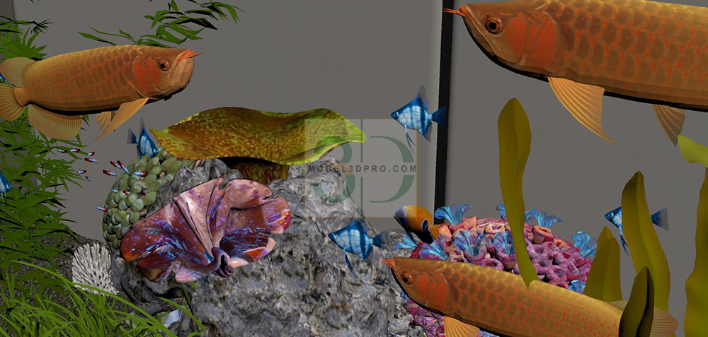 3D Aquarium Models