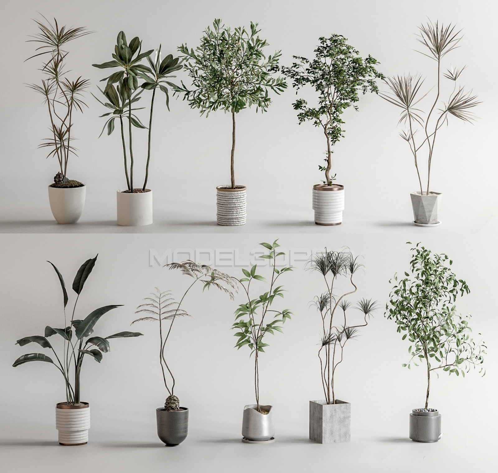 Free & Professional Plant 3D Models 6248-NghiaHouse-Model3dpro