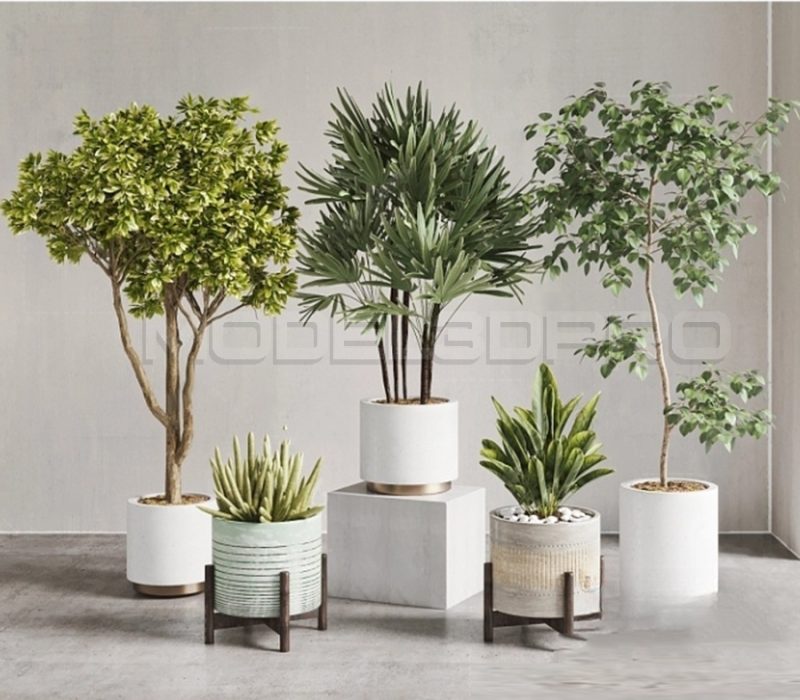 Plant 3D Models 292