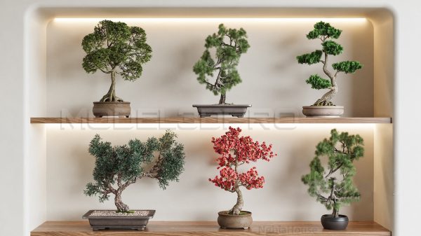SketchUp Bonsai Tree Models