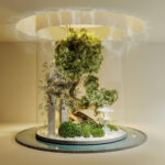 3D Model Indoor Zen Garden_109795367 VR