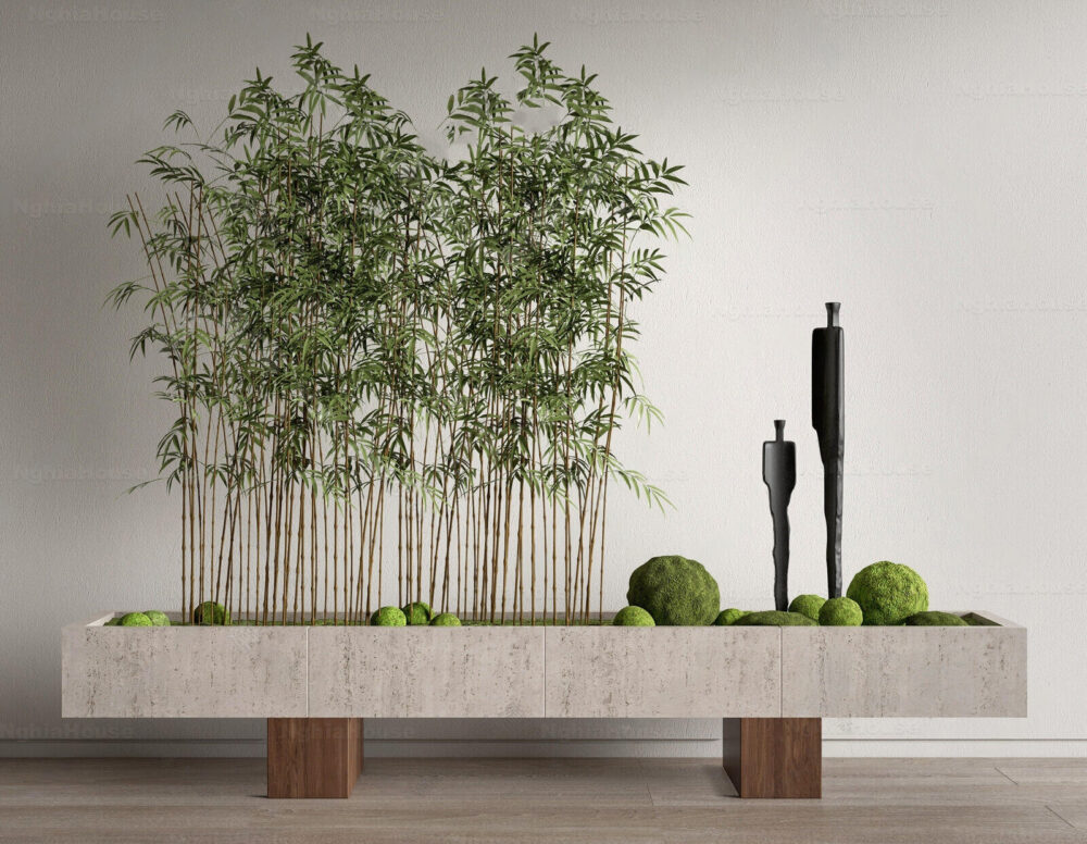 3ds Max Interior Decoration Model – Modern Bamboo Plant Pot Vray Render ...