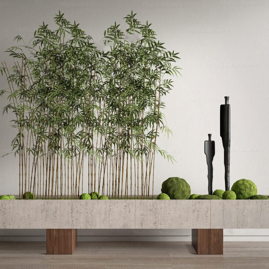 3ds Max Interior Decoration Model – Modern Bamboo Plant Pot  Vray Render_8242