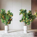 3D Kumquat Tree Model for Download – 3ds Max V-Ray Render