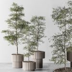 Indoor Green Sapling 3D Model – 3ds Max Decoration Asset