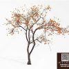 Autumn Persimmon Tree with Orange Fruits – 3ds Max V-Ray 3D Model_5899
